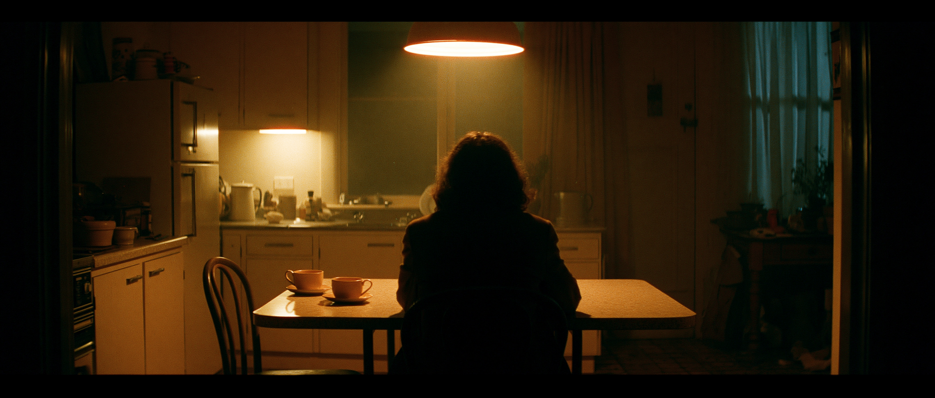 Vivienne Cameron's kitchen at night