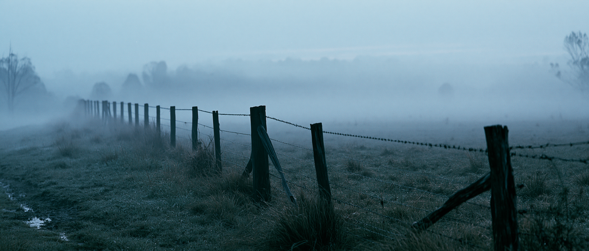 Fog along a paddock fence