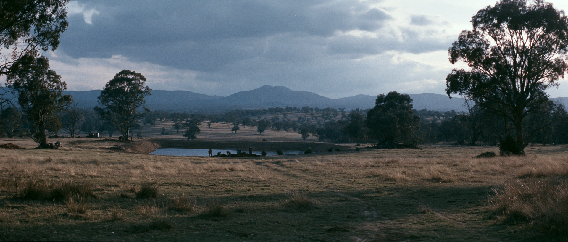 Distant figures digging near a dam in a paddock at dusk